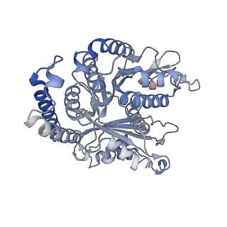 29692_8g3d_FG_v1-0
48-nm doublet microtubule from Tetrahymena thermophila strain K40R