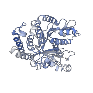 29692_8g3d_FI_v1-0
48-nm doublet microtubule from Tetrahymena thermophila strain K40R