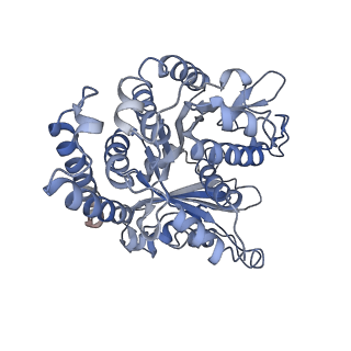 29692_8g3d_FJ_v1-0
48-nm doublet microtubule from Tetrahymena thermophila strain K40R