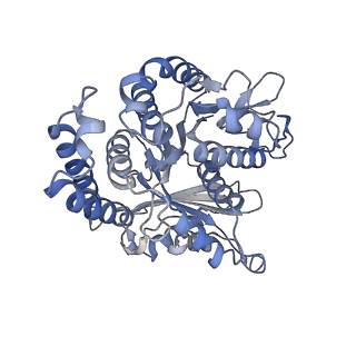 29692_8g3d_FL_v1-0
48-nm doublet microtubule from Tetrahymena thermophila strain K40R