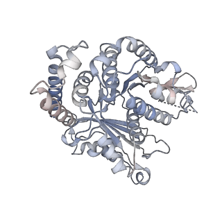 29692_8g3d_GA_v1-0
48-nm doublet microtubule from Tetrahymena thermophila strain K40R