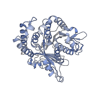 29692_8g3d_GF_v1-0
48-nm doublet microtubule from Tetrahymena thermophila strain K40R