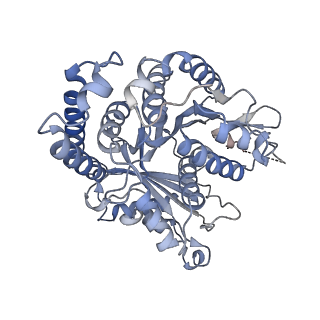 29692_8g3d_GI_v1-0
48-nm doublet microtubule from Tetrahymena thermophila strain K40R