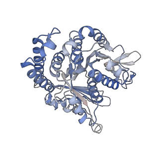 29692_8g3d_GJ_v1-0
48-nm doublet microtubule from Tetrahymena thermophila strain K40R