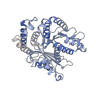 29692_8g3d_GK_v1-0
48-nm doublet microtubule from Tetrahymena thermophila strain K40R