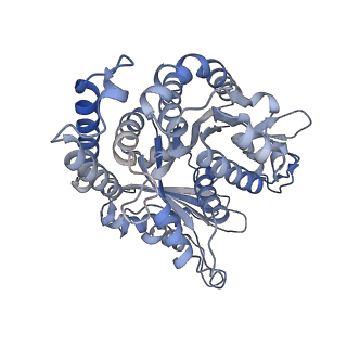 29692_8g3d_GL_v1-0
48-nm doublet microtubule from Tetrahymena thermophila strain K40R