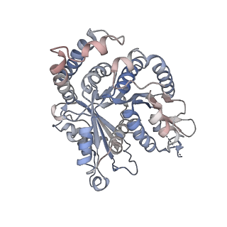29692_8g3d_HA_v1-0
48-nm doublet microtubule from Tetrahymena thermophila strain K40R