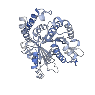 29692_8g3d_HC_v1-0
48-nm doublet microtubule from Tetrahymena thermophila strain K40R