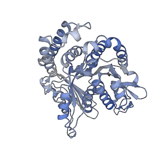 29692_8g3d_HF_v1-0
48-nm doublet microtubule from Tetrahymena thermophila strain K40R