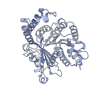 29692_8g3d_HI_v1-0
48-nm doublet microtubule from Tetrahymena thermophila strain K40R