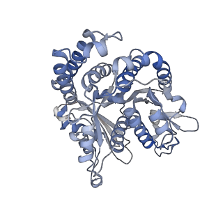 29692_8g3d_HJ_v1-0
48-nm doublet microtubule from Tetrahymena thermophila strain K40R