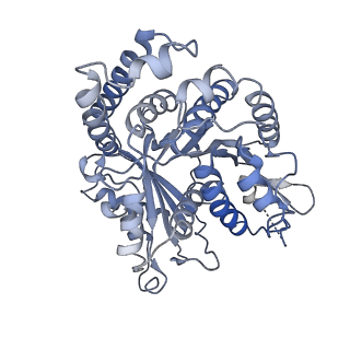 29692_8g3d_HK_v1-0
48-nm doublet microtubule from Tetrahymena thermophila strain K40R