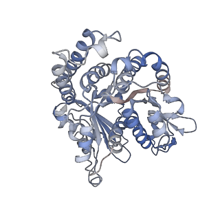29692_8g3d_HN_v1-0
48-nm doublet microtubule from Tetrahymena thermophila strain K40R
