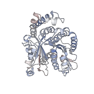 29692_8g3d_IA_v1-0
48-nm doublet microtubule from Tetrahymena thermophila strain K40R