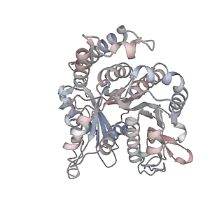 29692_8g3d_IB_v1-0
48-nm doublet microtubule from Tetrahymena thermophila strain K40R
