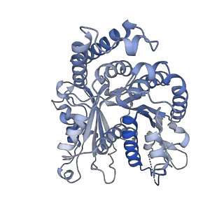 29692_8g3d_IK_v1-0
48-nm doublet microtubule from Tetrahymena thermophila strain K40R