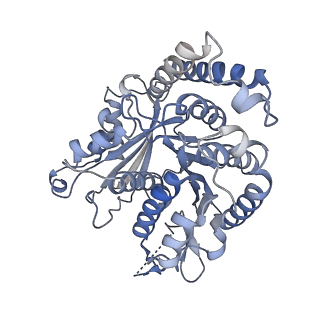 29692_8g3d_JA_v1-0
48-nm doublet microtubule from Tetrahymena thermophila strain K40R