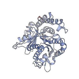 29692_8g3d_JB_v1-0
48-nm doublet microtubule from Tetrahymena thermophila strain K40R