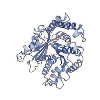 29692_8g3d_JC_v1-0
48-nm doublet microtubule from Tetrahymena thermophila strain K40R