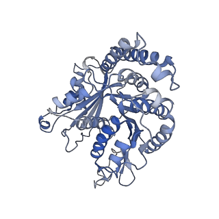 29692_8g3d_JE_v1-0
48-nm doublet microtubule from Tetrahymena thermophila strain K40R