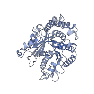 29692_8g3d_JG_v1-0
48-nm doublet microtubule from Tetrahymena thermophila strain K40R