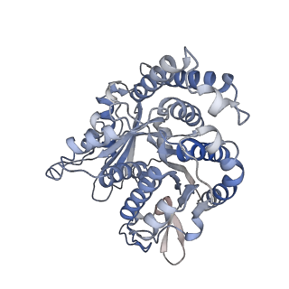 29692_8g3d_JJ_v1-0
48-nm doublet microtubule from Tetrahymena thermophila strain K40R