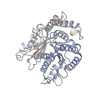 29692_8g3d_JM_v1-0
48-nm doublet microtubule from Tetrahymena thermophila strain K40R
