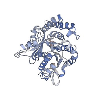 29692_8g3d_JN_v1-0
48-nm doublet microtubule from Tetrahymena thermophila strain K40R