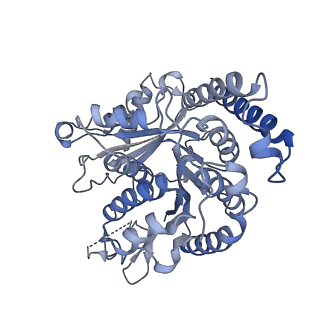 29692_8g3d_KA_v1-0
48-nm doublet microtubule from Tetrahymena thermophila strain K40R