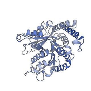 29692_8g3d_KE_v1-0
48-nm doublet microtubule from Tetrahymena thermophila strain K40R