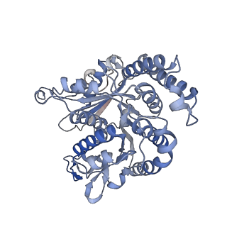 29692_8g3d_KF_v1-0
48-nm doublet microtubule from Tetrahymena thermophila strain K40R