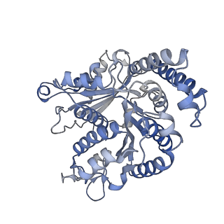 29692_8g3d_KI_v1-0
48-nm doublet microtubule from Tetrahymena thermophila strain K40R