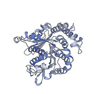 29692_8g3d_KJ_v1-0
48-nm doublet microtubule from Tetrahymena thermophila strain K40R