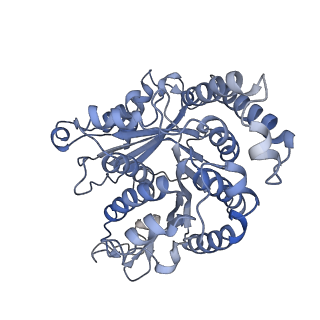 29692_8g3d_KK_v1-0
48-nm doublet microtubule from Tetrahymena thermophila strain K40R