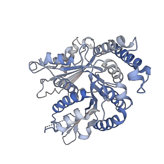 29692_8g3d_KM_v1-0
48-nm doublet microtubule from Tetrahymena thermophila strain K40R