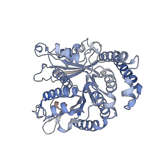 29692_8g3d_LA_v1-0
48-nm doublet microtubule from Tetrahymena thermophila strain K40R