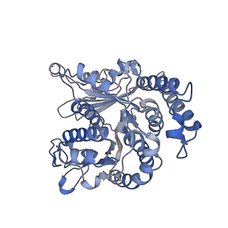 29692_8g3d_LH_v1-0
48-nm doublet microtubule from Tetrahymena thermophila strain K40R