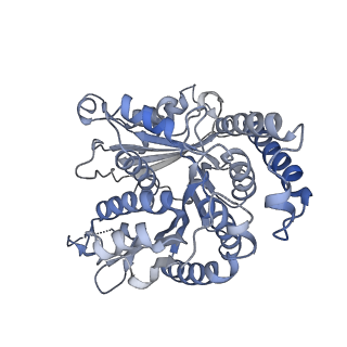 29692_8g3d_LI_v1-0
48-nm doublet microtubule from Tetrahymena thermophila strain K40R