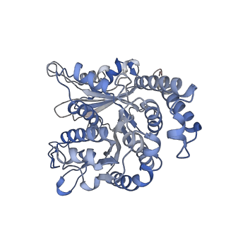 29692_8g3d_LJ_v1-0
48-nm doublet microtubule from Tetrahymena thermophila strain K40R