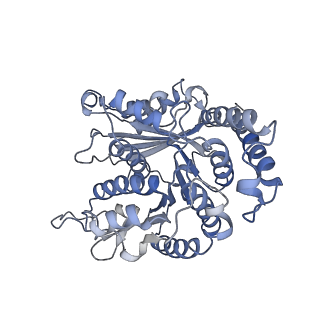 29692_8g3d_LK_v1-0
48-nm doublet microtubule from Tetrahymena thermophila strain K40R