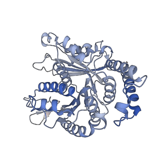 29692_8g3d_MC_v1-0
48-nm doublet microtubule from Tetrahymena thermophila strain K40R