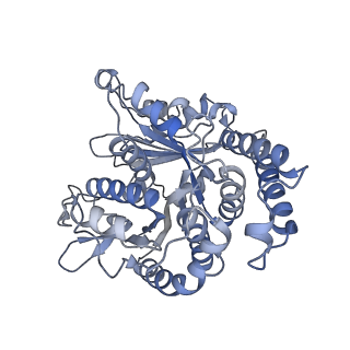 29692_8g3d_MF_v1-0
48-nm doublet microtubule from Tetrahymena thermophila strain K40R
