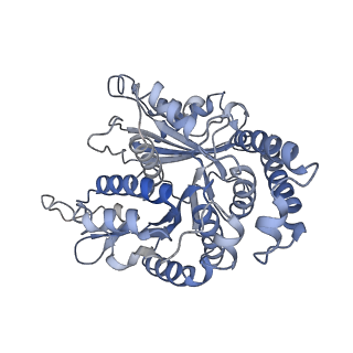 29692_8g3d_MI_v1-0
48-nm doublet microtubule from Tetrahymena thermophila strain K40R