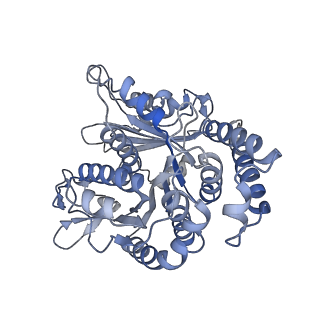 29692_8g3d_MJ_v1-0
48-nm doublet microtubule from Tetrahymena thermophila strain K40R