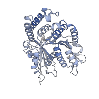 29692_8g3d_NE_v1-0
48-nm doublet microtubule from Tetrahymena thermophila strain K40R