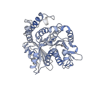 29692_8g3d_NJ_v1-0
48-nm doublet microtubule from Tetrahymena thermophila strain K40R