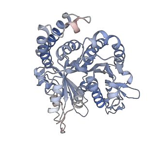 29692_8g3d_NL_v1-0
48-nm doublet microtubule from Tetrahymena thermophila strain K40R