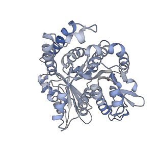 29692_8g3d_NN_v1-0
48-nm doublet microtubule from Tetrahymena thermophila strain K40R