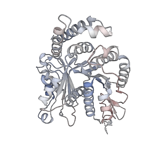 29692_8g3d_OA_v1-0
48-nm doublet microtubule from Tetrahymena thermophila strain K40R