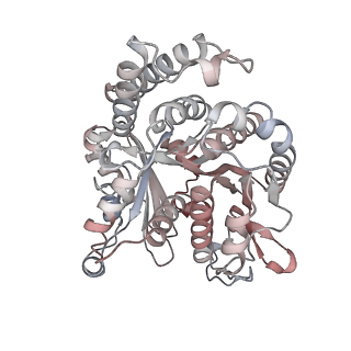 29692_8g3d_OB_v1-0
48-nm doublet microtubule from Tetrahymena thermophila strain K40R